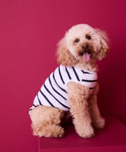 Marinière Thermolactyl pour chiens