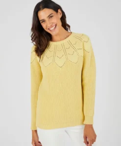 Pull détails ajourés