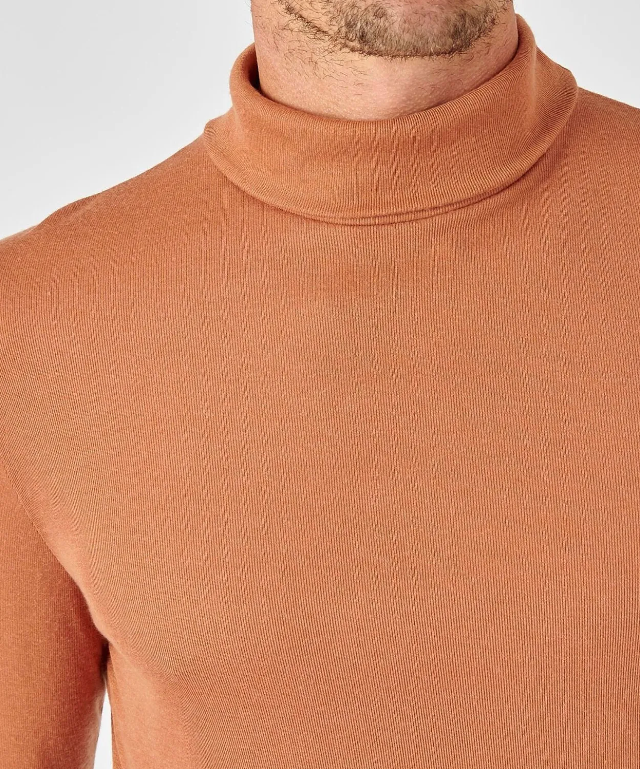 Sous-pull Thermolactyl col roulé